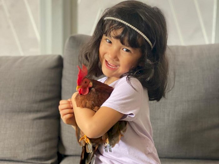 Momen Putri Atiqah Hasiholan Perlakukan Ayam Seperti Kucing, Dibawa ke Dalam Rumah 