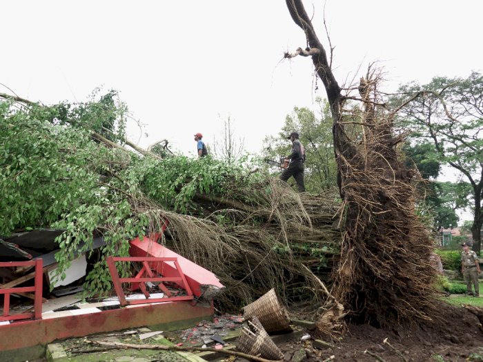 FOTO: Angin Kencang Melanda Kabupaten Purbalingga