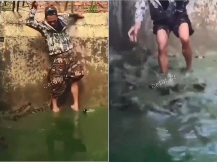 Bikin Merinding, Pria Ini Masuk ke Kolam yang Dipenuhi Buaya, Netizen: Uji Nyali