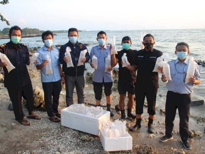 Polda Banten Ciduk Pelaku Penyelundupan 12 Ribu Benih Lobster