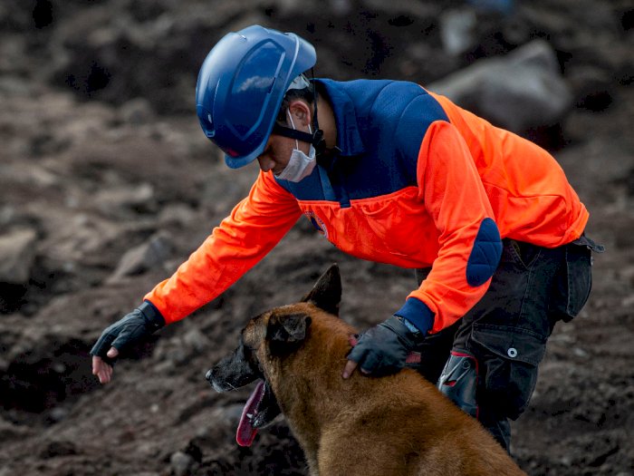 Anjing K9 Dinilai Efektif Temukan Jenazah Korban Bencana NTT