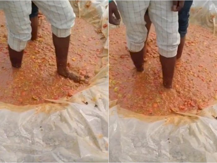 Viral Video Pria Injak-injak Tomat Diduga sedang Bikin Sambal, Netizen Jijik