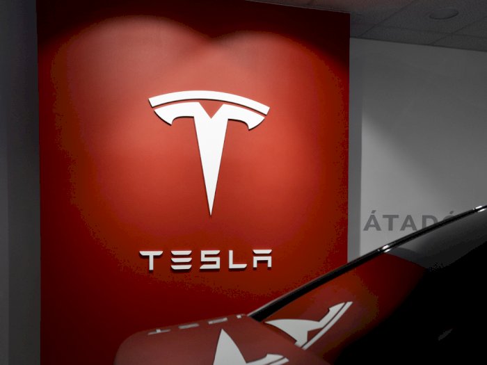Pabrik Mobil Tesla di Nevada Disebut Ancam ‘Rumah’ Puluhan Ribu Kuda Liar!