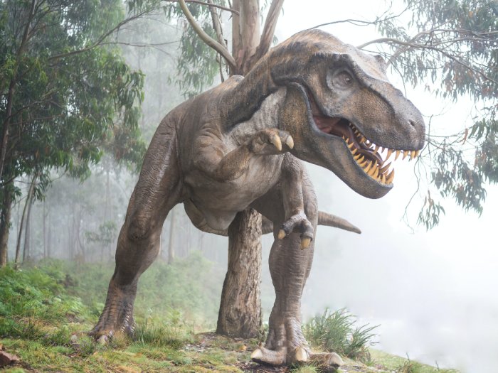 Hasil Studi Terbaru Ungkap Ada 2,5 Miliar T-Rex yang Pernah Hidup di Bumi