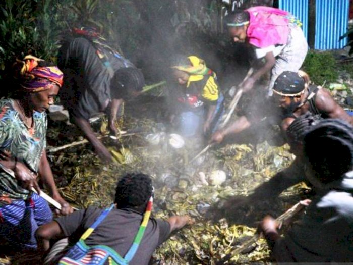 Selamat dari Peristiwa Pembakaran Honai, Kepala Suku Dambet Papua Gelar Ritual Bakar Batu