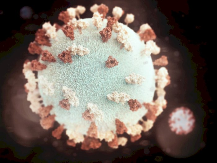 Masih Aman, Virus Varian Baru dari Brasil dan Afsel Belum Ditemukan di Indonesia.