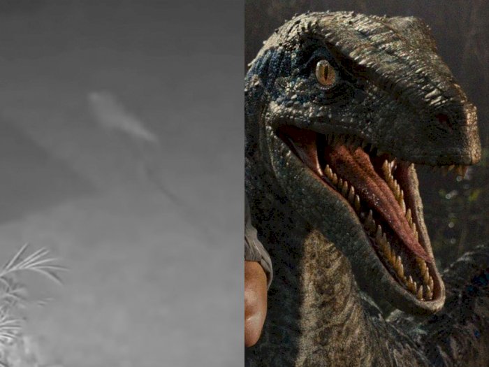 Detik-detik Rekaman CCTV yang Memperlihatkan Sosok 'Bayi Dinosaurus' Viral di Media Sosial