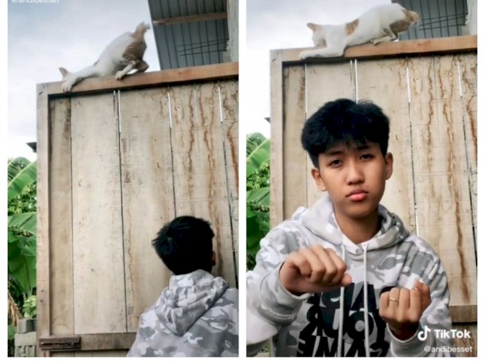Kucing Ini Mencengkram Erat Usai Digoyang Pemuda di TikTok, Netizen: Awas Bales Dendam
