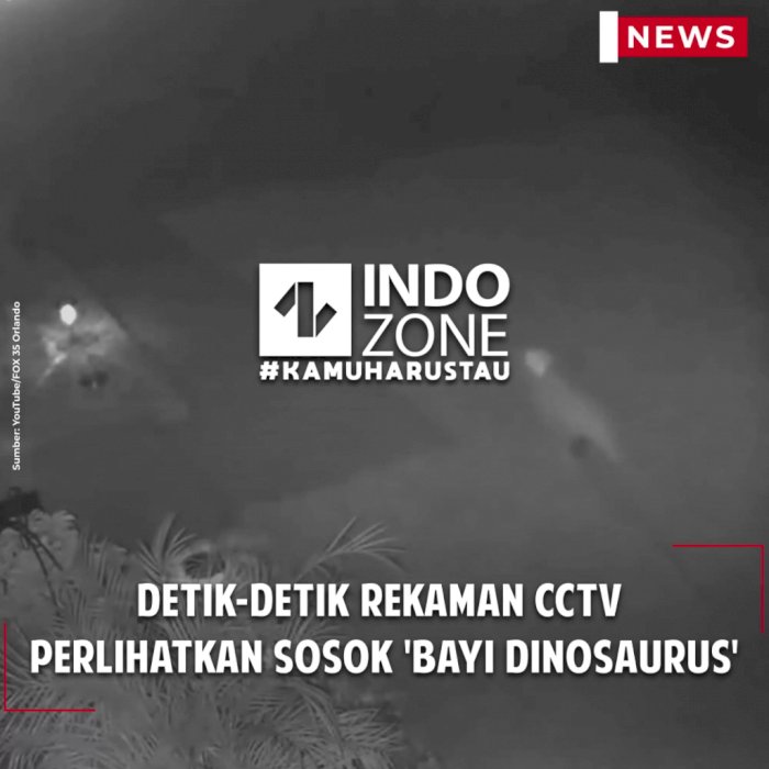 Detik-detik Rekaman CCTV Perlihatkan Sosok 'Bayi Dinosaurus'