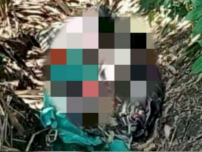 Mayat Wanita Ditemukan Terbungkus Tikar di Kebun Tebu, Kuat Dugaan Korban Pembunuhan