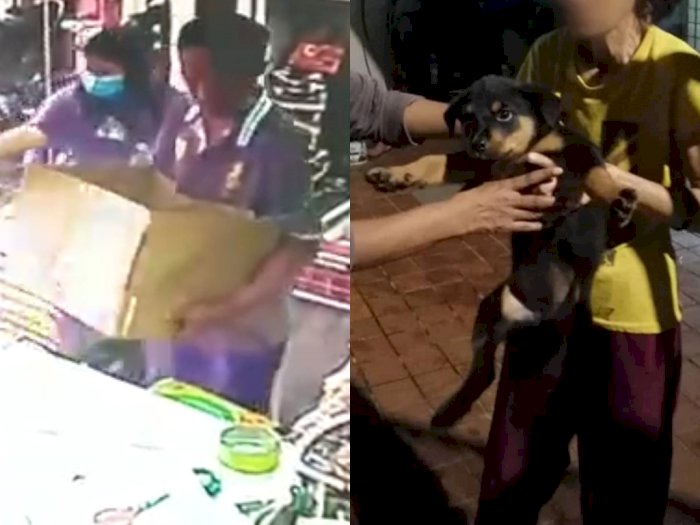 Pria Ini Culik Anjing Berusia 3 Bulan dan Coba Menjualnya, Ditolak karena Curiga Curian
