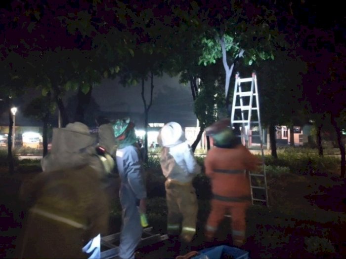 Dalam Sehari, Sarang Tawon di Tiga Lokasi Dievakuasi Damkar Jakarta Timur