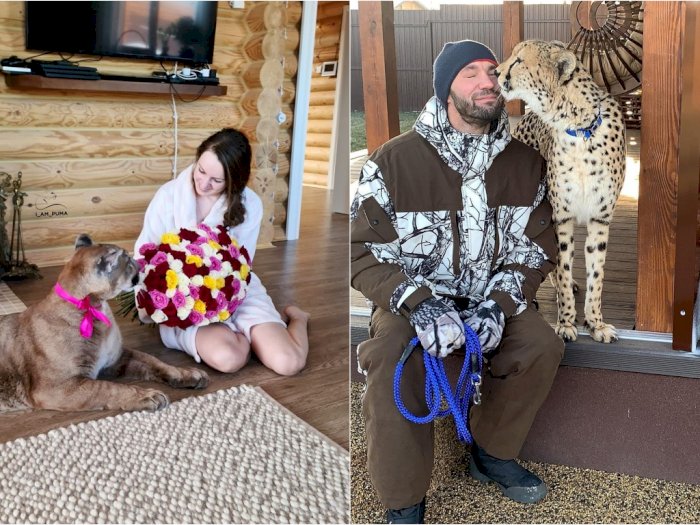 Pasangan Ini Pelihara Puma dan Cheetah di Rumah, Tidak Takut Jadi 'Makan Siang'