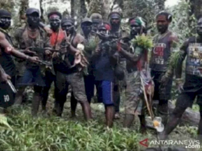 Anggota DPR Sebut KKB di Papua Layak Dicap Teroris dan Separatis, 'Menimbulkan Rasa Takut'
