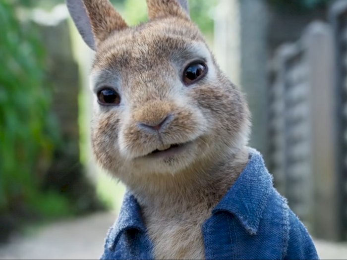 Peter Rabbit 2: The Runaway Rilis Trailer Yang Lucu