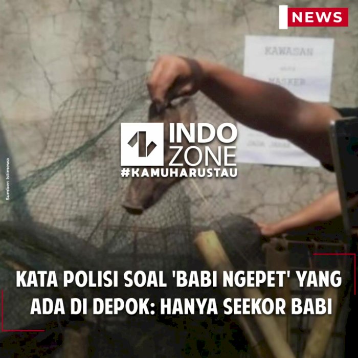 Kata Polisi Soal 'Babi Ngepet' yang Ada di Depok: Hanya Seekor Babi