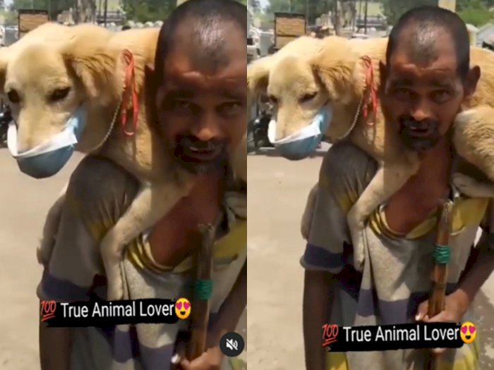 Viral Video Pria Tua Gendong & Beri Masker ke Anjingnya yang Sehat, Alasannya Bikin Haru