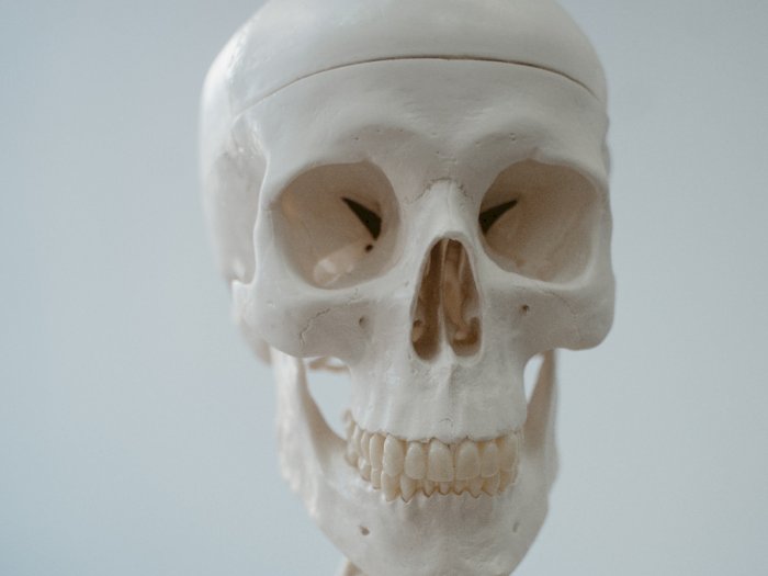 Peneliti Berhasil Temukan Cara Membuat Tulang Rawan dengan Bioprinting 3D