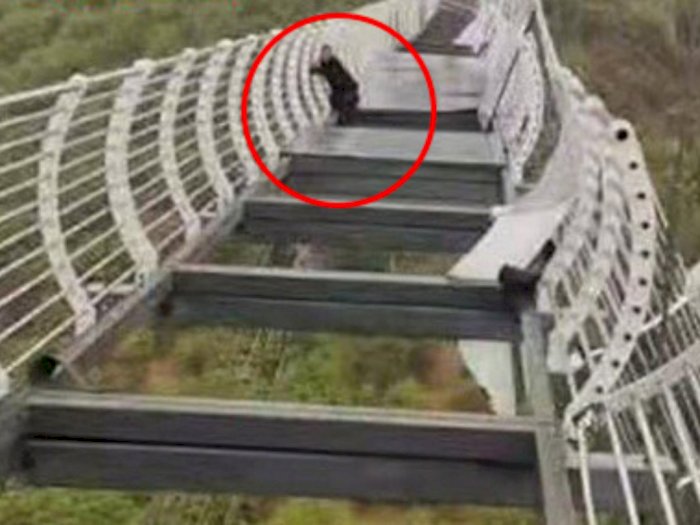 Pria Ini Dibiarkan Menggantung 100m di Udara Usai Jembatan Kaca Pecah Akibat Angin Kencang