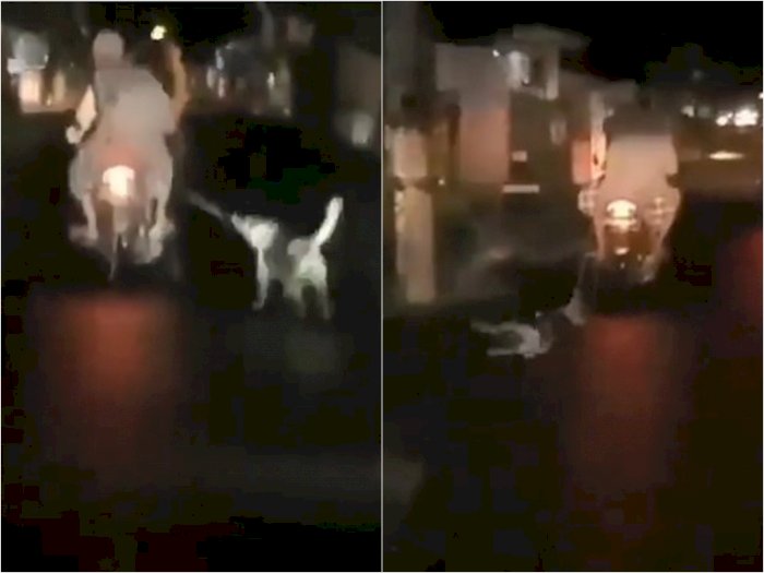Kejam, Pemotor Ini Rantai dan Seret Anjing di Aspal Hingga Puluhan Meter, Dikecam Netizen