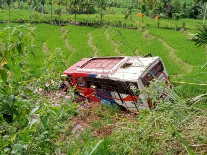 Bus Pasaman Transport Express Masuk ke Jurang Simpang Tigo, Ini Daftar Para Korban