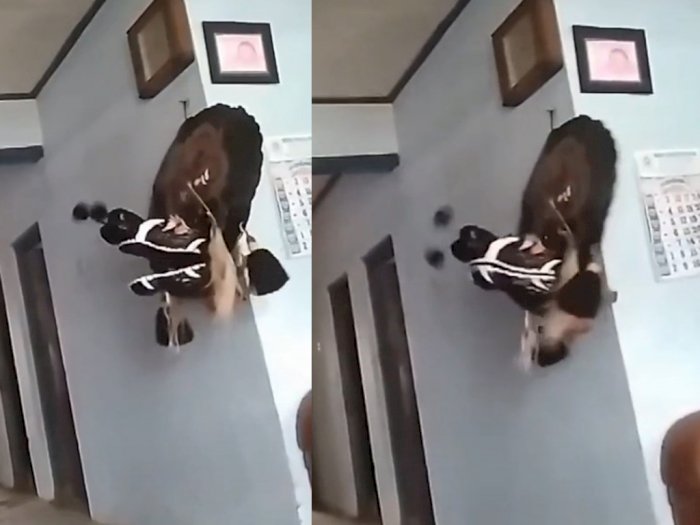Viral Video Barongan Bergerak Sendiri di Rumah, Bikin Netizen Merinding