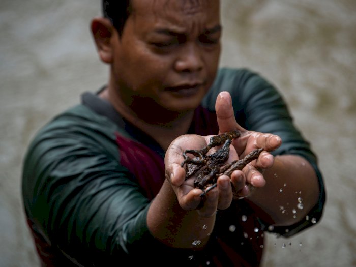 FOTO: Pencari Logam di Sungai Ciliwung