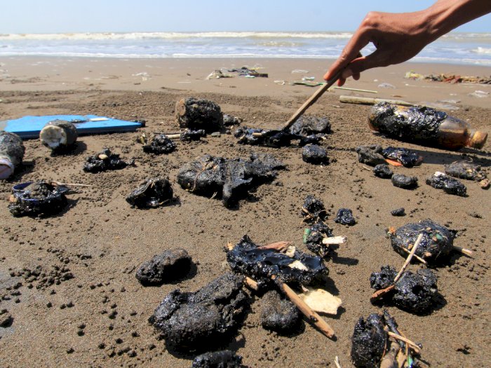 FOTO: Gumpalan Diduga Minyak Mentah Berserakan di Pantai Indramayu