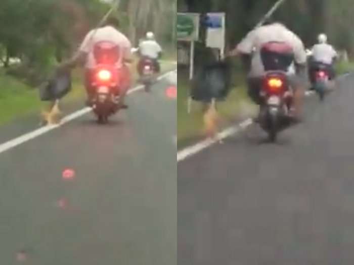 Kejam! Pria Ini Menyeret Kucing yang Terjebak di Jalan dengan Sepeda Motornya