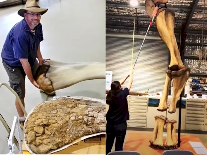 Spesies Dinosaurus Baru Ditemukan di Australia, Tingginya 5 Meter 