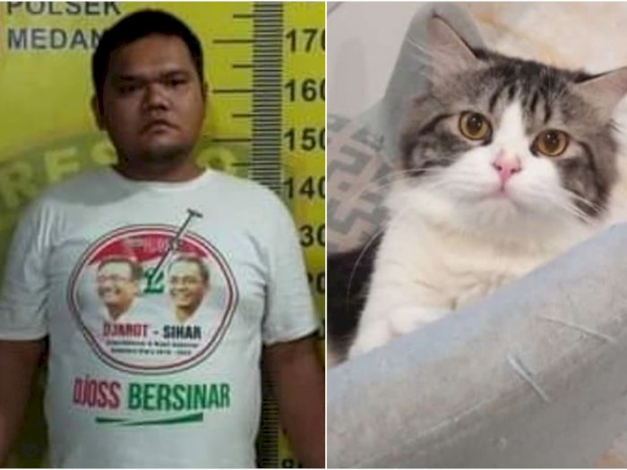 Ini Dia Tampang Jagal Kucing di Medan, Sempat Kabur ke Luar Kota, Kini Menunggu Disidang