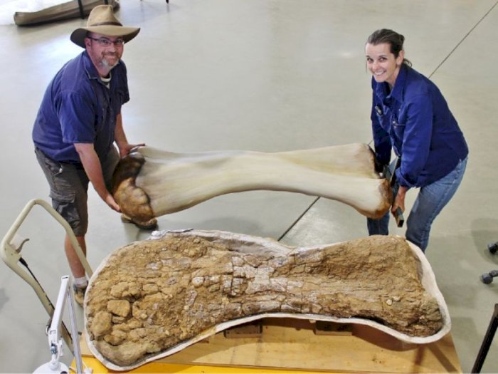 Peneliti Berhasil Temukan Spesies Dinosaurus Baru di Australia