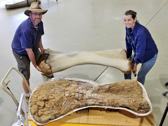 FOTO: Penemuan Spesies Baru Dinosaurus Terbesar di Australia