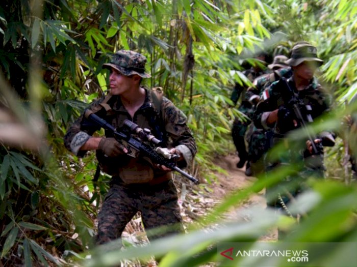 Marinir Indonesia dan Amerika Serikat Berlatih Perang Hutan, Diajarkan Masak Hewan Buas