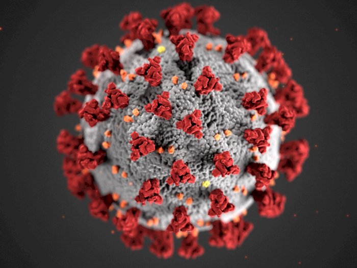 Virus Corona Muncul di Amerika dan Prancis Sebelum Wuhan, Klaim Ilmuwan China