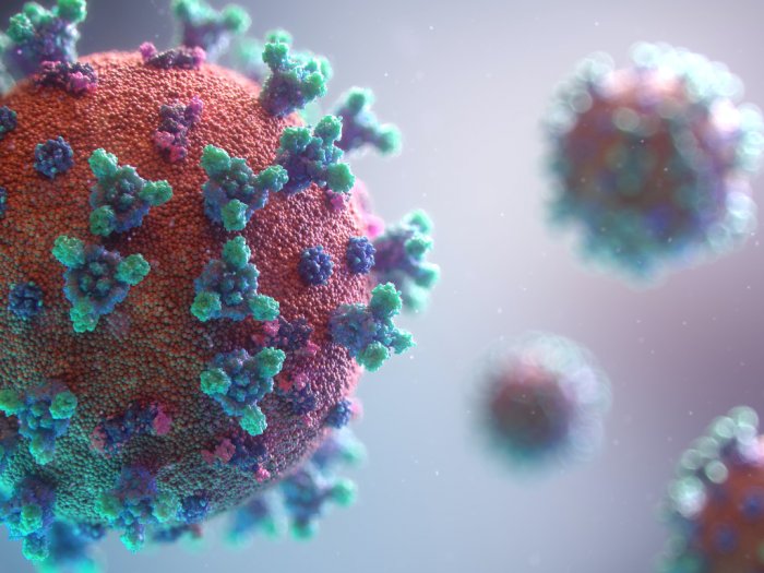 WHO: Varian Delta Akan Menjadi Virus Utama di Dunia
