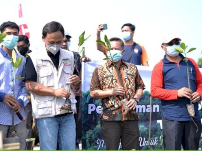 Jaga Kelestarian Lingkungan KIIC Tanam 1.000 Pohon Bakau di Pantai Muarabaru, Karawang