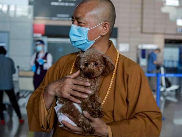 Didorong Iman dan Belas Kasih, Biksu Buddha Ini Menyelamatkan 8.000 Anjing Liar