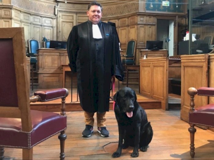 Anjing Hitam Ini Bekerja di Pengadilan untuk Membantu Menenangkan Korban yang Cemas