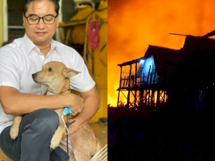 Anjing Ini Bangunkan Pemiliknya Jam 5 Pagi untuk Menyelamatkan Keluarga dari Kebakaran