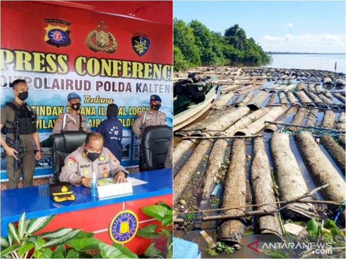 400 Batang Kayu Ilegal Disita dari Hasil Pembalakan Liar di Kalteng, Pelaku Ditangkap
