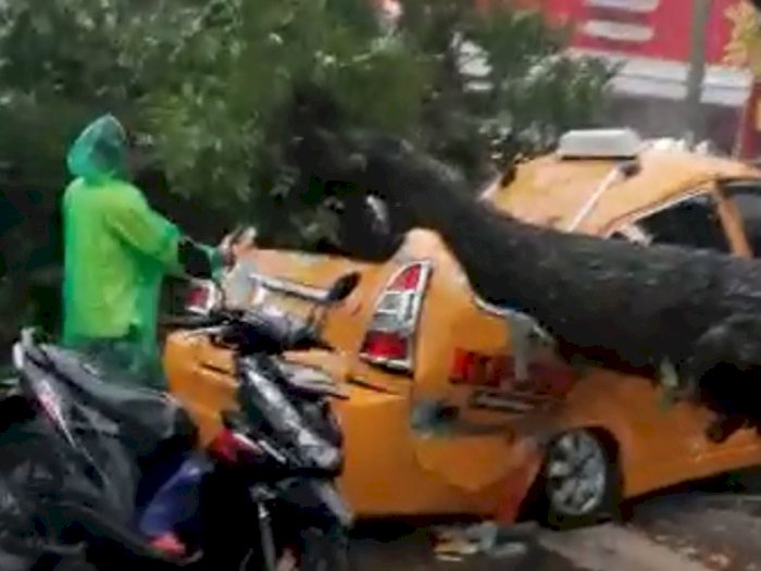 Breaking News: Dua Perawat Wanita Tewas Dalam Angkot, Tertimpa Pohon Tumbang di Medan