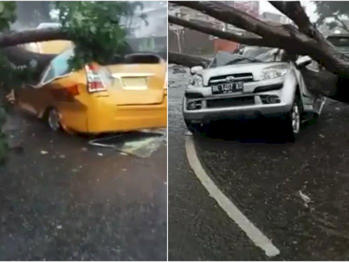BREAKING NEWS: 2 Mobil  Remuk Tertimpa Pohon Tumbang di Medan, 1 Angkot Bawa Penumpang