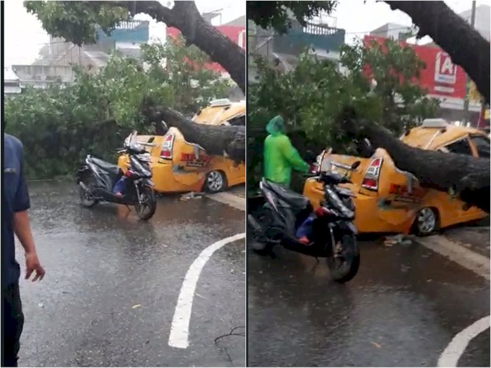  Hujan dan Angin Kencang di Medan, Dua Orang Tewas Setelah Angkutan Umum Tertimpa Pohon