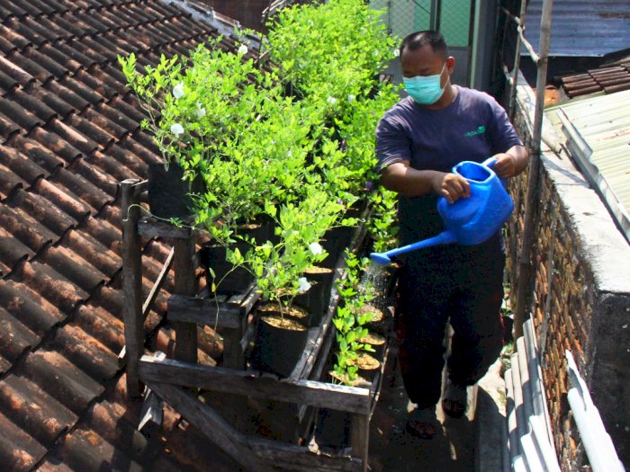 FOTO: Memanfaatkan Atap Rumah Sebagai Lahan