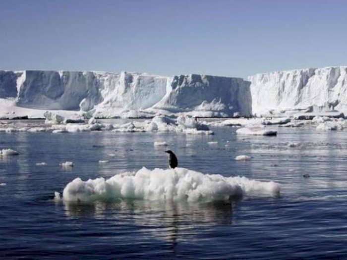 Dampak Perubahan Iklim, Antartika Catat Rekor Suhu Terpanas dengan 18,3 Derajat Celcius