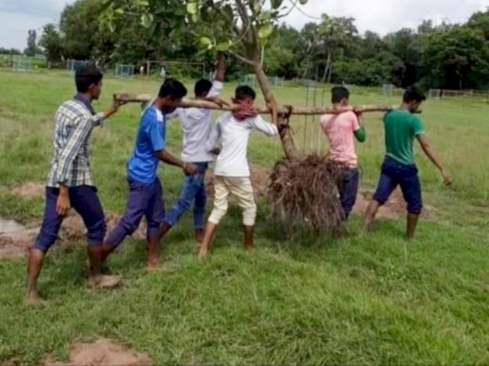 Sekelompok Pria Membawa Pohon di Bahu Mereka untuk Menanamnya Kembali, Aksinya Viral