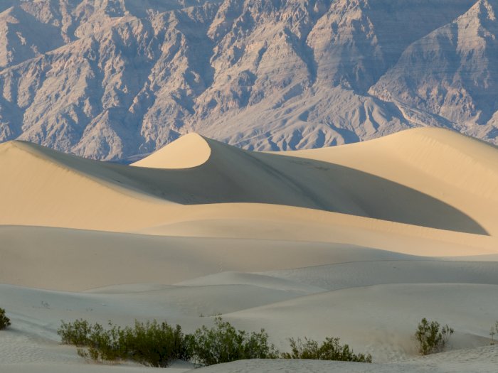 Death Valley Hampir Memecahkan Rekor, Catat Suhu Hingga 130 Derajat Fahrenheit