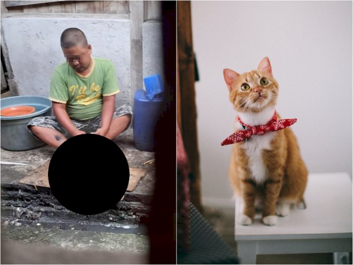 Viral Pria yang Sembelih Kucing, Ternyata ODGJ dan Sudah Dilakukan Selama 4 Kali