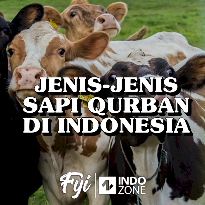 Jenis-Jenis Sapi Qurban Di Indonesia